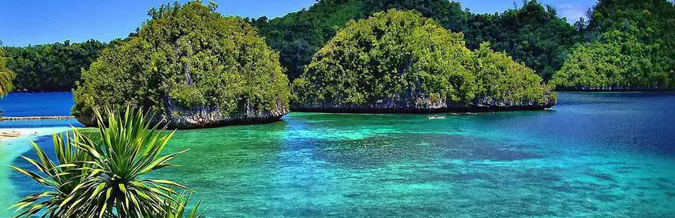 https://thetravelguruinc.com/wp-content/uploads/2012/10/El-Nido-Palawan-Water.jpg