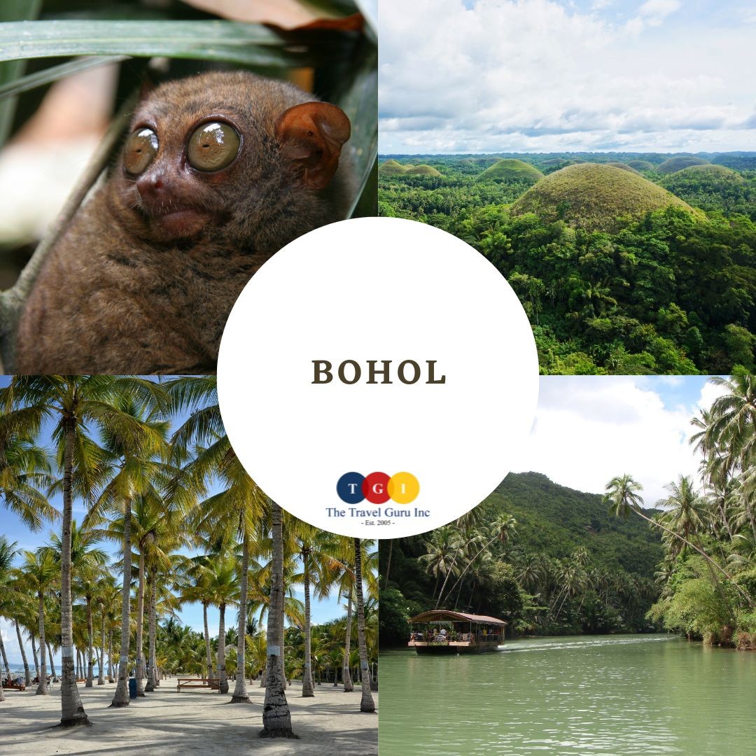 https://thetravelguruinc.com/wp-content/uploads/2022/12/Bohol-1.jpg